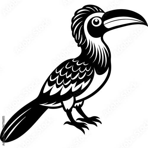 Hornbill bird vector design photo