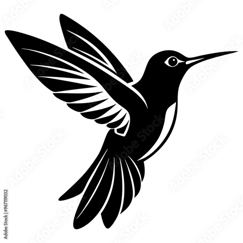 Hornbill bird vector design on a white background