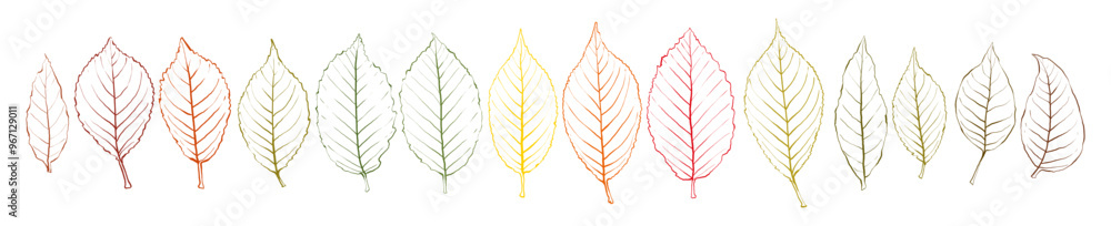 Set autumn leaves isolated. Vector illustration Set autumn leaves isolated. Vector illustration