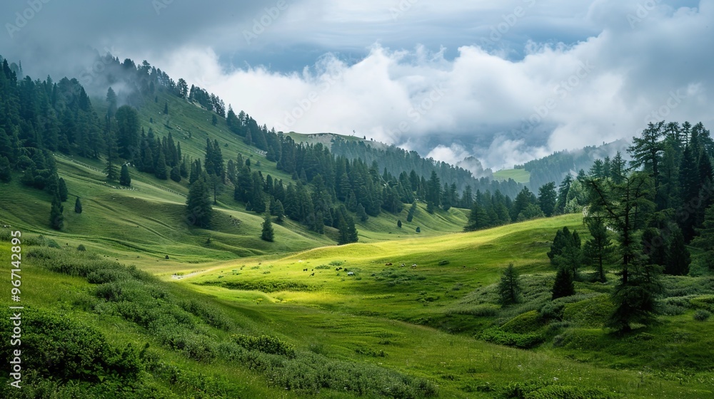 Beautiful landscape view of green summer forest with spruce and pine trees mountain, lake, river. Beautiful landscape view of green summer forest with spruce and pine trees mountain, lake, river.