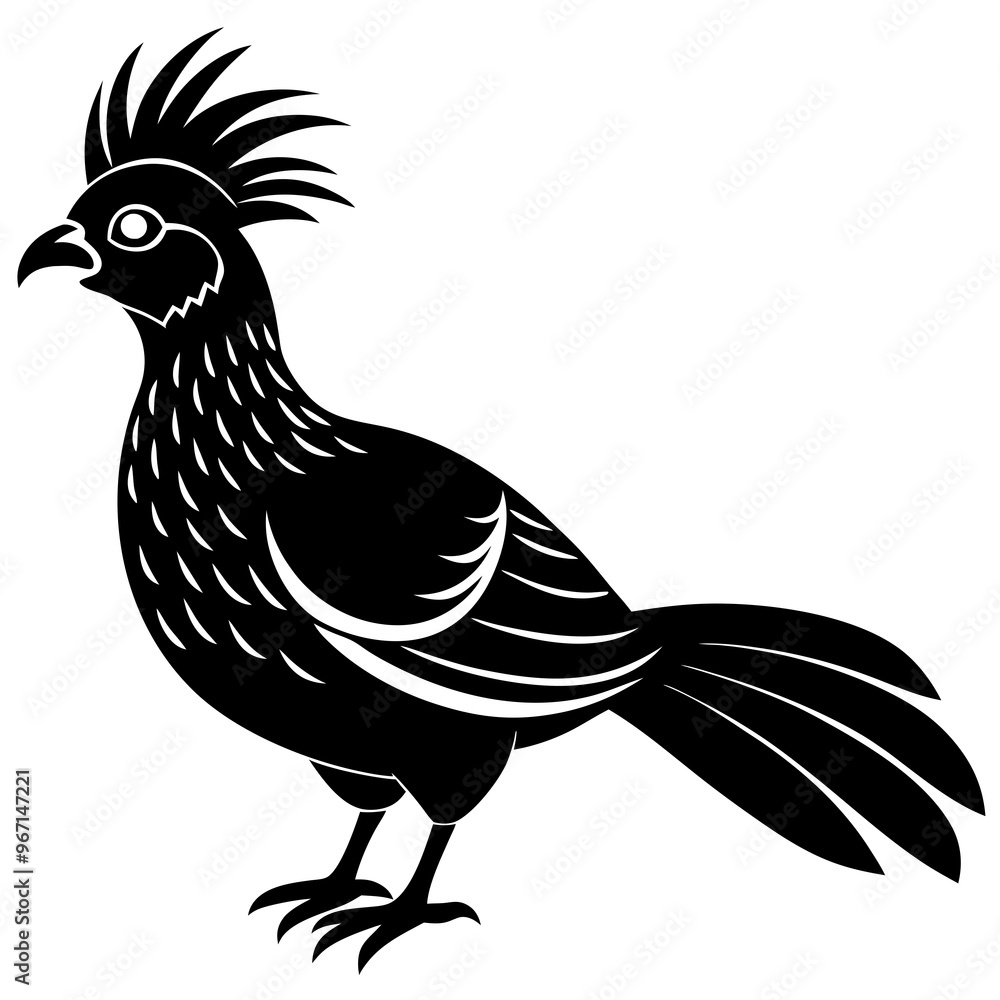 Touraco bird silhouette vector design on a white background Touraco bird silhouette vector design on a white background