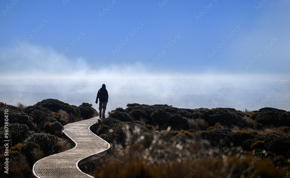 Man in silhouette hiking Pouakai circuit, walking on boardwalk. Views of the Taranaki in the mist. Egmont National park. New Zealand.