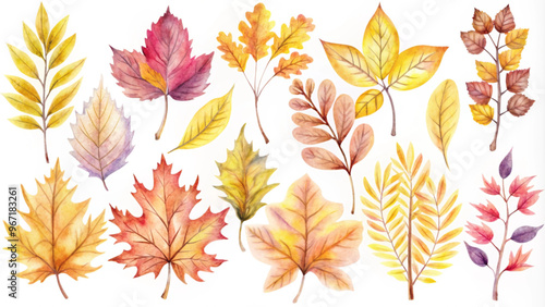 Watercolor Autumn Leaves Collection for Seasonal Designs and Crafts