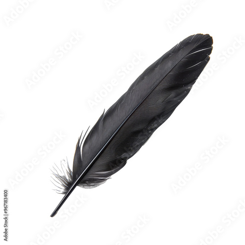 Black feather on a transparent background showcasing intricate details and textures highlighting its natural beauty and elegance