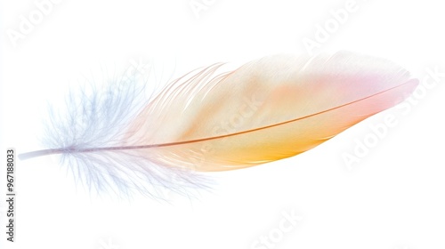 Delicate Pastel Bird Feather Isolated on White Background