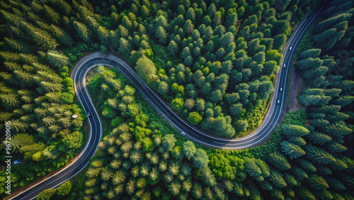 Curvy road cutting through dark wild woodlands, captured from top down drone view, curvy, road, dark, wild, woodlands, top down