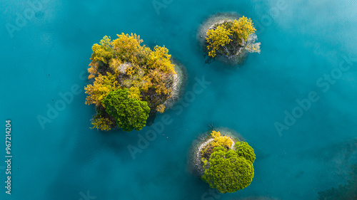 3 trees Photo automne drone  photo