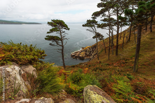 Al fondo la costa gallega desde la isla de Monteagudo en el archipiélago de las islas Cíes.