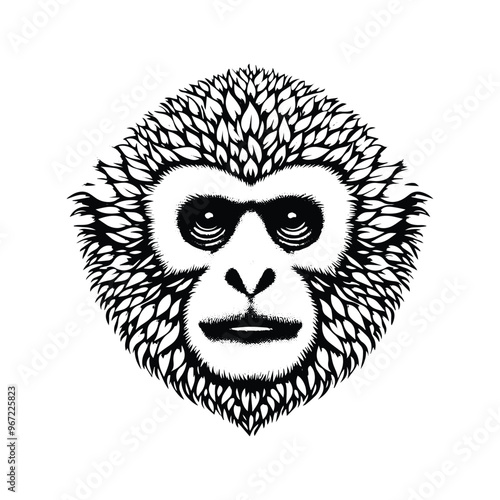 Gibbon monkey made by simple botanical drawing, black and white animal illustration black and white animal illustration