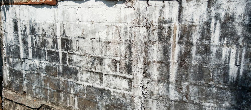Fototapeta premium brick wall house