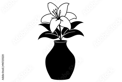 A Persian lily, white and majestic, sits in a vase on a white table, a flower of purity and devotion vector art illustration photo