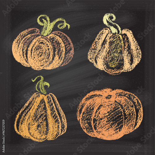 An artistic chalkboard illustration featuring pumpkins that represents fall decor beautifully. Perfect for Thanksgiving designs.