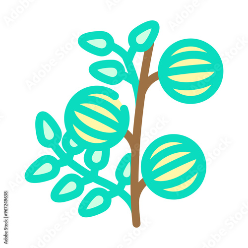 amla ayurvedic herb color icon vector. amla ayurvedic herb sign. isolated symbol illustration