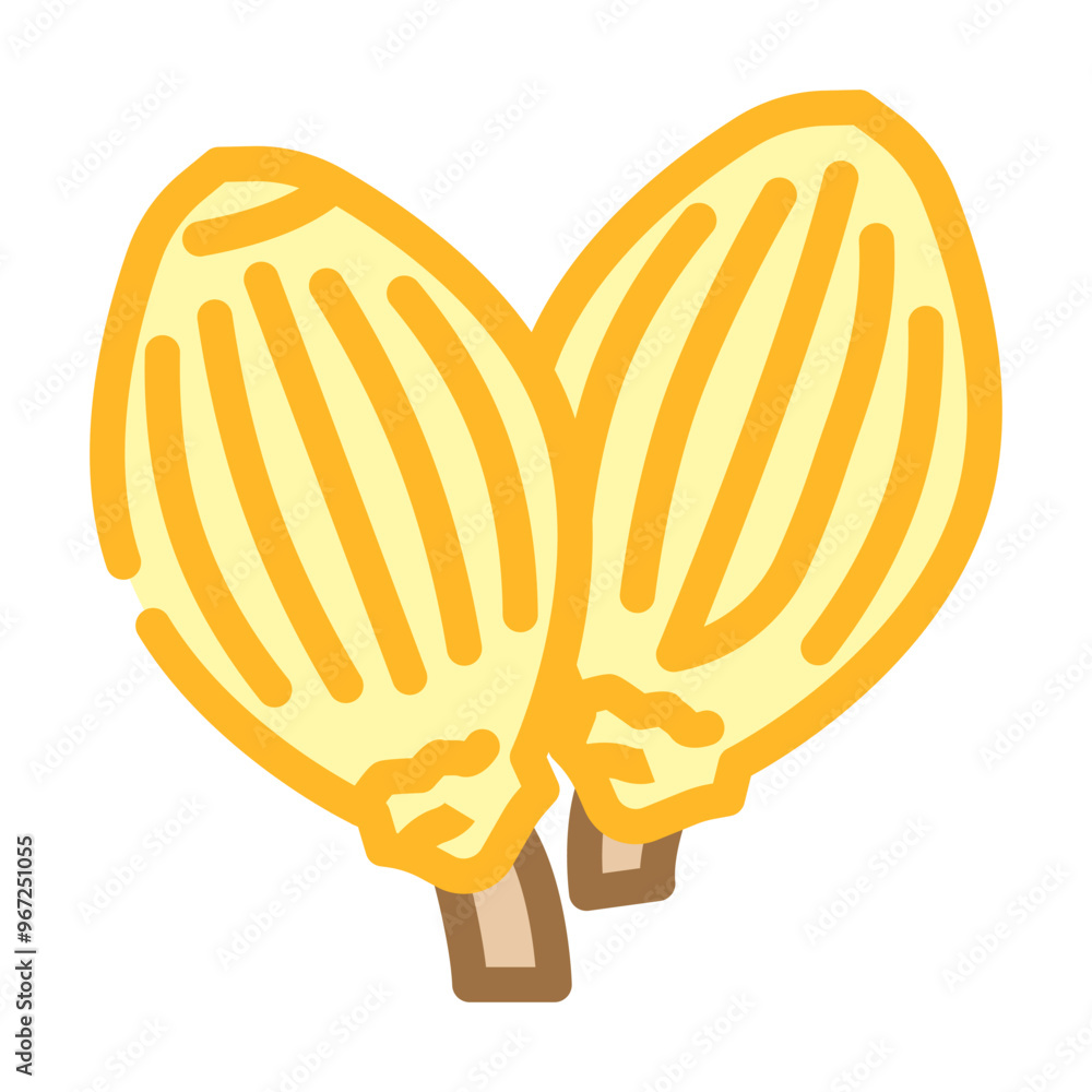 Fototapeta premium coriander seeds ayurvedic herb color icon vector. coriander seeds ayurvedic herb sign. isolated symbol illustration