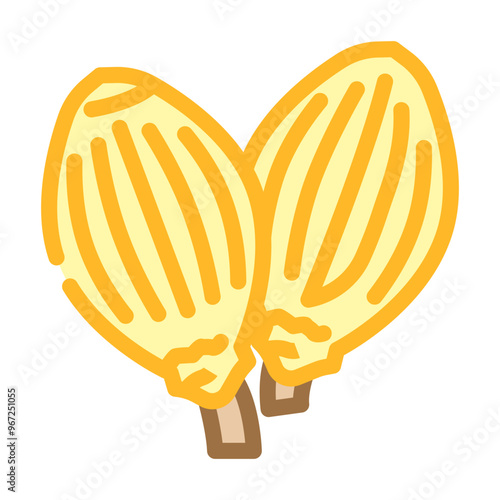 coriander seeds ayurvedic herb color icon vector. coriander seeds ayurvedic herb sign. isolated symbol illustration