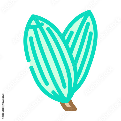 fennel seeds ayurvedic herb color icon vector. fennel seeds ayurvedic herb sign. isolated symbol illustration