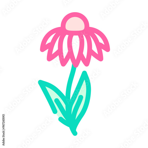 echinacea ayurvedic herb color icon vector. echinacea ayurvedic herb sign. isolated symbol illustration