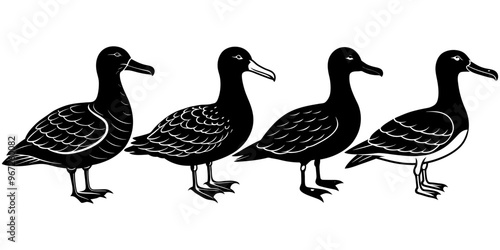 Set of albatross duck black silhouette vector illustration design photo