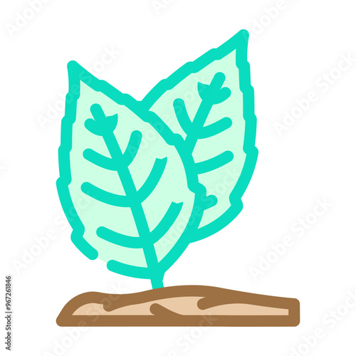holy basil ayurvedic herb color icon vector. holy basil ayurvedic herb sign. isolated symbol illustration