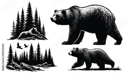 Black and white bear illustrations in forest scenery, vector art, perfect for nature-themed designs