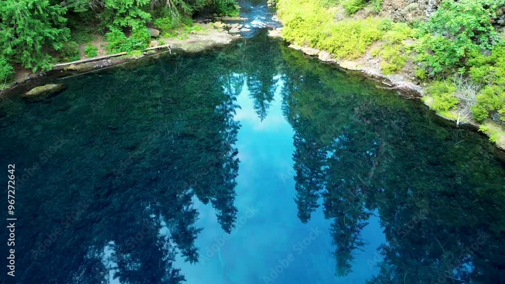 Blue Pool drone aerial of landscape with reflection of forest pine trees woodlands of crystal clear rocky creek lake Oregon USA America Tamolitch Falls nature tourism travel trails Blue Pool drone aerial of landscape with reflection of forest pine trees woodlands of crystal clear rocky creek lake Oregon USA America Tamolitch Falls nature tourism travel trails