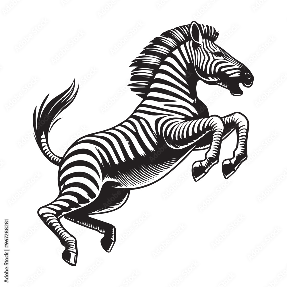 Artistic Zebra Illustration - Black And White Zebra animal Clipart Artistic Zebra Illustration - Black And White Zebra animal Clipart