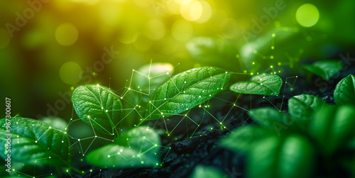 Zero emissions and environment conservation background. Carbon free. Green leaves and digital connecting lines. 