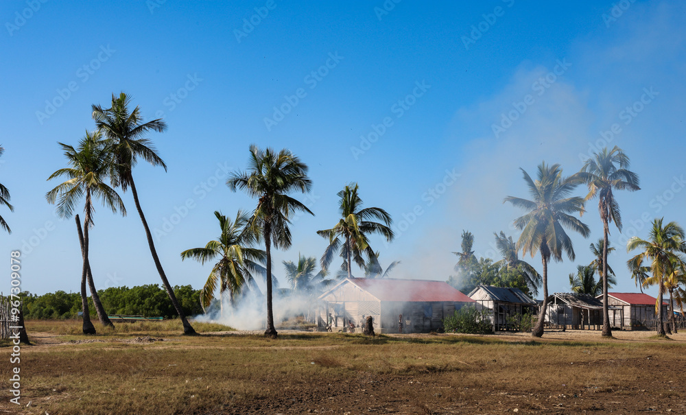 Village life in Madagascar with palm trees and smoke rising from a home on a sunny day Village life in Madagascar with palm trees and smoke rising from a home on a sunny day