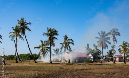 Village life in Madagascar with palm trees and smoke rising from a home on a sunny day photo