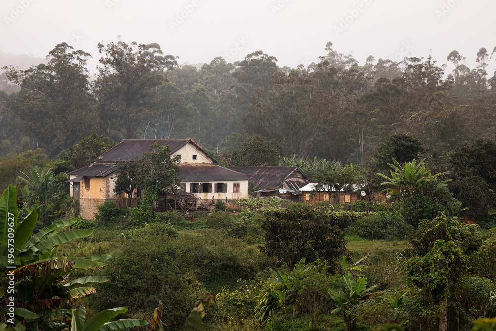 A tranquil village in Madagascar surrounded by lush greenery and misty hills during the early morning hours A tranquil village in Madagascar surrounded by lush greenery and misty hills during the early morning hours