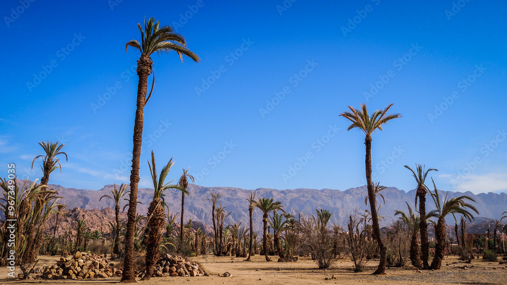 The landscape around Tafraoute in Morocco The landscape around Tafraoute in Morocco