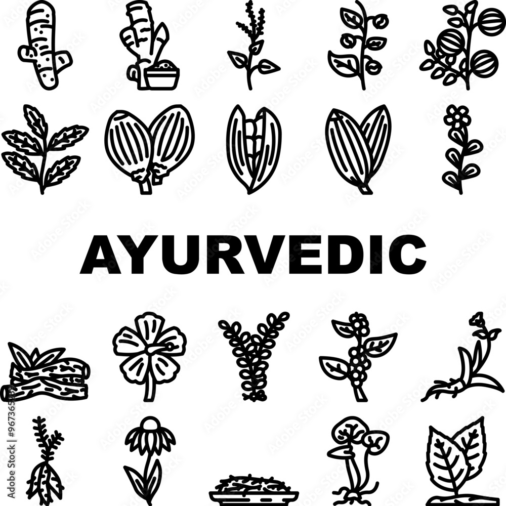 Fototapeta premium ayurvedic herbs medical icons set vector. ashwagandha turmeric, brahmi neem, tulsi shatavari, triphala amla, gotu, kola guggul ayurvedic herbs medical black contour illustrations