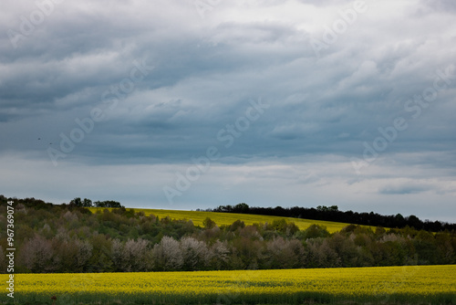 clouds over the field. Scenic view of oilseed rape field against cloudy sky. Scenic view of field against cloudy sky. clouds over the field