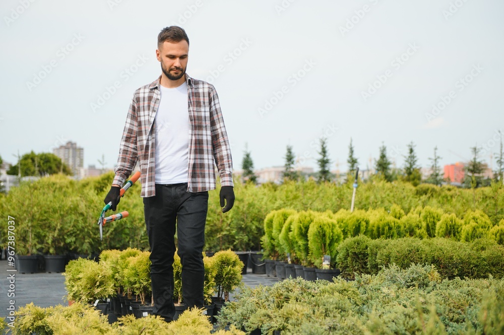 Fototapeta premium Male employee of garden shopping center inspects product. Department with potted plants, is preparing to advise clients