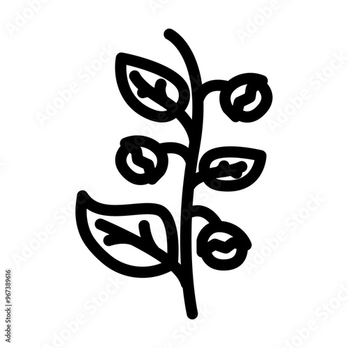ashwagandha ayurvedic herb line icon vector. ashwagandha ayurvedic herb sign. isolated contour symbol black illustration