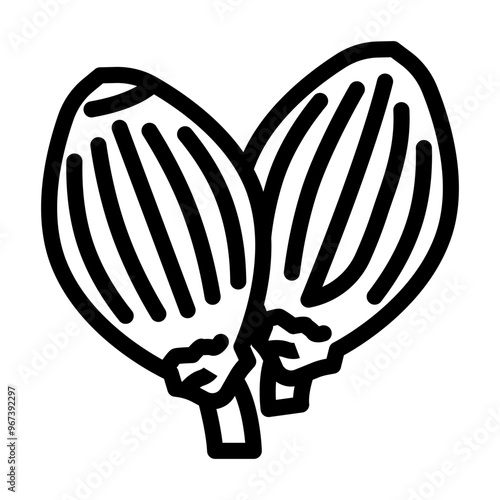 coriander seeds ayurvedic herb line icon vector. coriander seeds ayurvedic herb sign. isolated contour symbol black illustration
