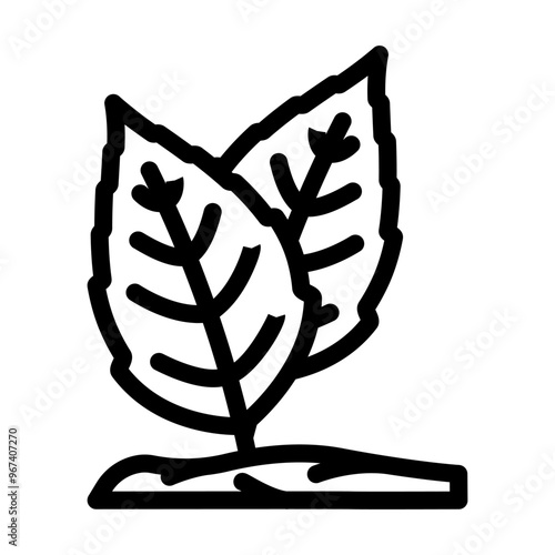 holy basil ayurvedic herb line icon vector. holy basil ayurvedic herb sign. isolated contour symbol black illustration