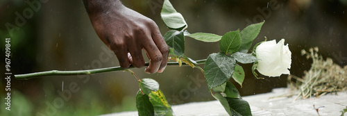 Fotografie Close up on hand of Black man placing white rose on tombstone on grave in memory