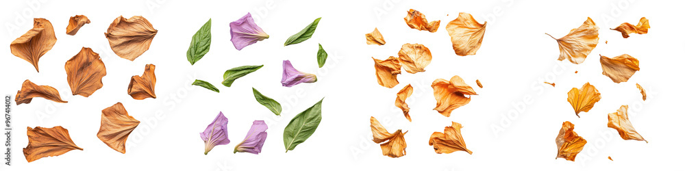 Close-up of assorted dried flower petals in various colors arranged in rows. Ideal for backgrounds, textures, and creative design projects. Close-up of assorted dried flower petals in various colors arranged in rows. Ideal for backgrounds, textures, and creative design projects.