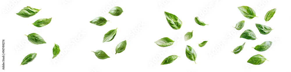 Collection of fresh green leaves isolated on white background, arranged in various patterns. Ideal for botanical, nature, or eco designs. Collection of fresh green leaves isolated on white background, arranged in various patterns. Ideal for botanical, nature, or eco designs.