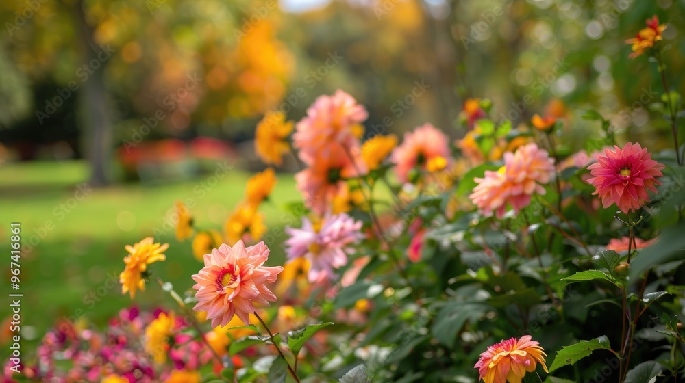 Close up view of lovely fall blooms in the park Close up view of lovely fall blooms in the park