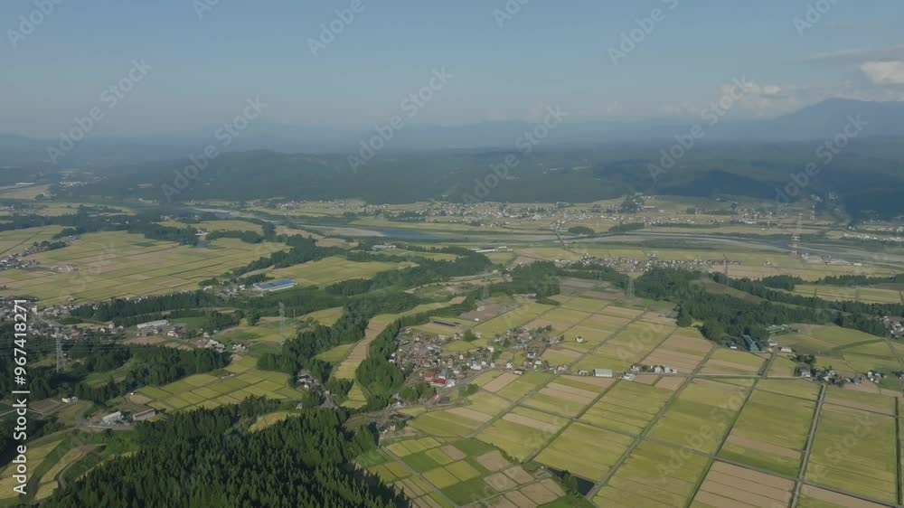 ドローン映像:稲刈りが始まった田舎町の自然の風景 ドローン映像:稲刈りが始まった田舎町の自然の風景