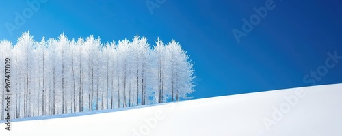 A serene winter morning with clear air, frosted trees against a bright blue sky, sunlight reflecting off pristine snow, pure and peaceful photo