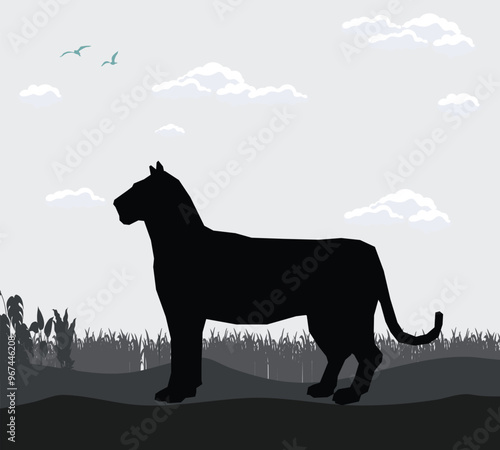 sky shadow of forest scene animal background