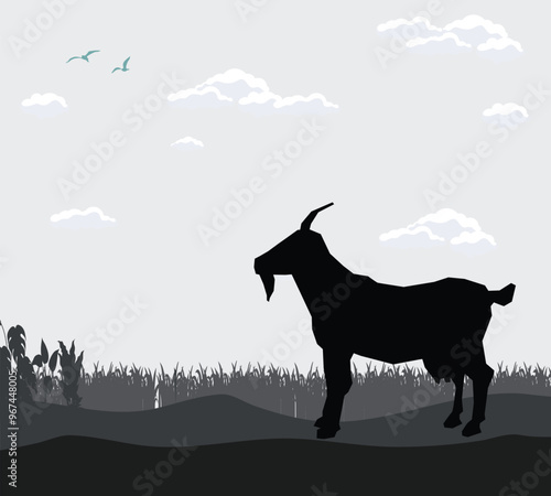 sky shadow of forest scene animal background