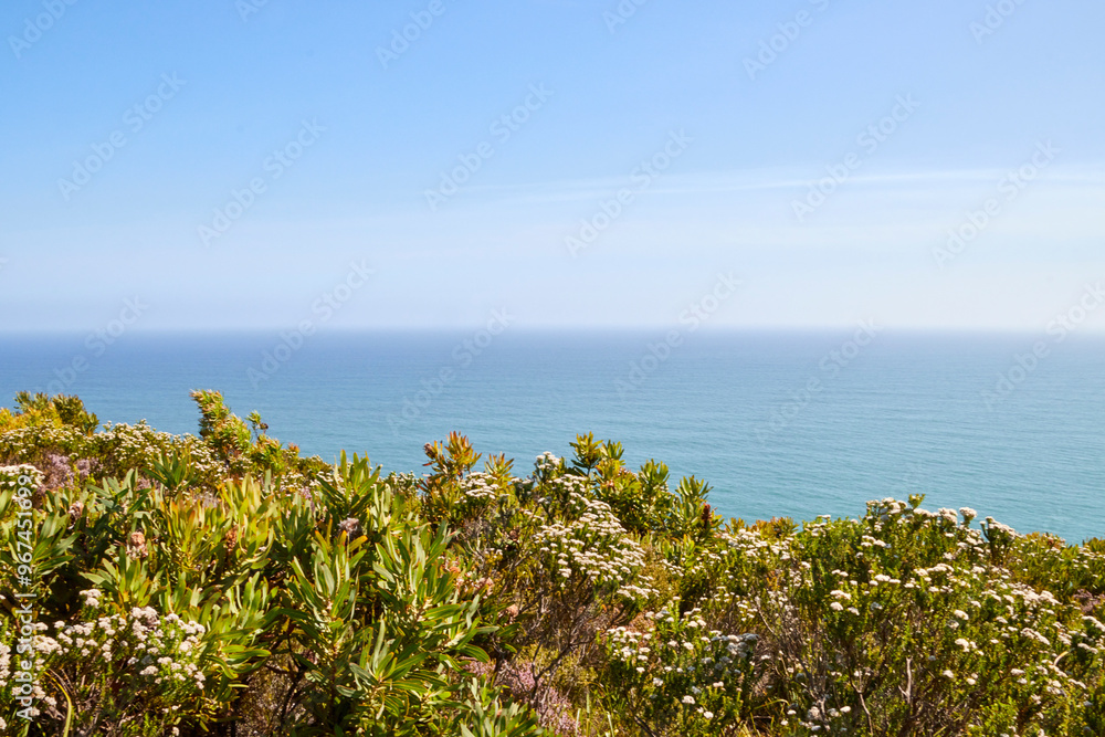 Eine Reise durch Südafrika. Unterwegs im Tsitsikamma Nationalpark. Eine Reise durch Südafrika. Unterwegs im Tsitsikamma Nationalpark.