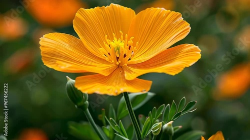 Wallpaper Mural Vibrant yellow-orange flower blooming in a lush garden during springtime Torontodigital.ca