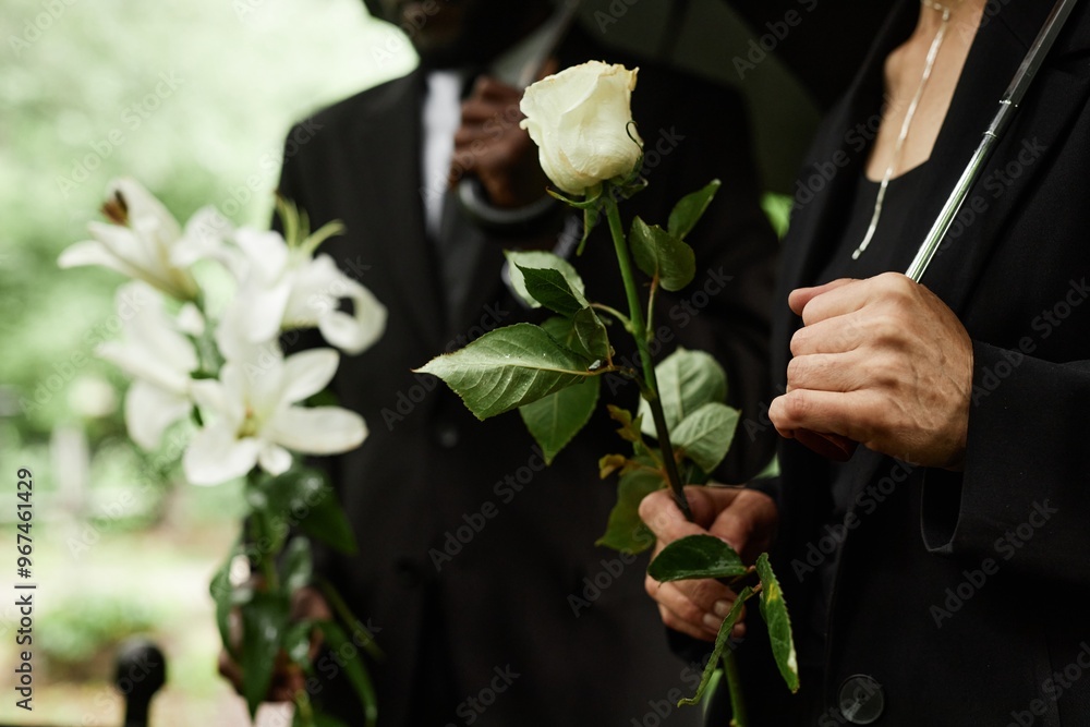 © Seventyfour - Close up on hands with white rose of unrecognizable senior woman grieving during memorial service at cemetery before placing flowers on grave to commemorate deceased person, copy space