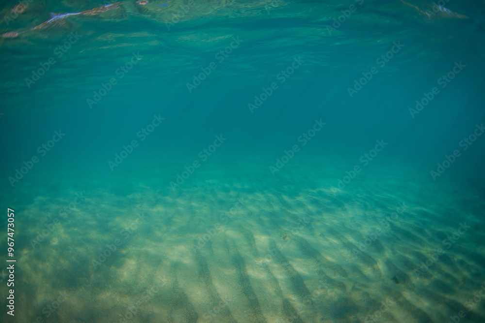 Underwater view of clear sand bottom.