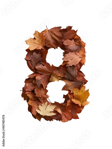 autumn leaves number eight isolated on transparent background photo